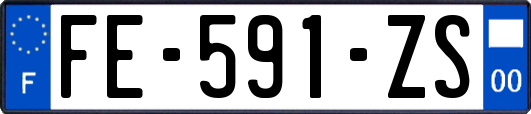 FE-591-ZS