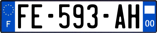 FE-593-AH