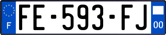 FE-593-FJ