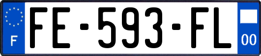 FE-593-FL