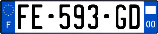 FE-593-GD