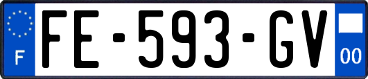 FE-593-GV