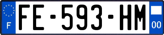 FE-593-HM