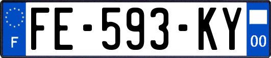 FE-593-KY