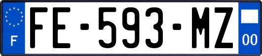 FE-593-MZ