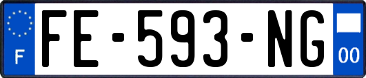 FE-593-NG