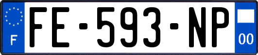 FE-593-NP