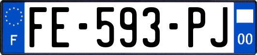 FE-593-PJ