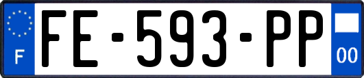 FE-593-PP