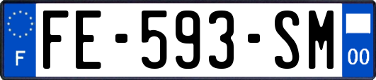 FE-593-SM