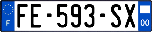 FE-593-SX