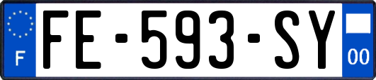 FE-593-SY