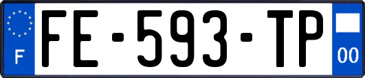 FE-593-TP