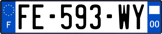 FE-593-WY
