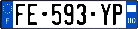 FE-593-YP