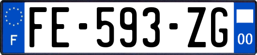 FE-593-ZG