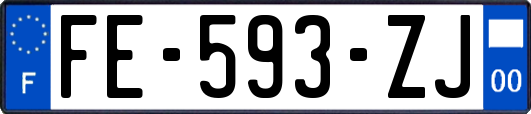 FE-593-ZJ