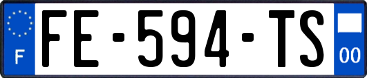 FE-594-TS