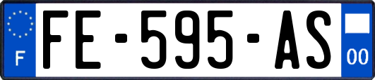 FE-595-AS