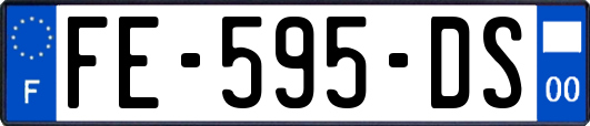 FE-595-DS
