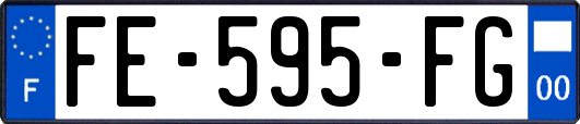 FE-595-FG