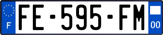 FE-595-FM