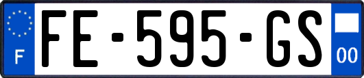 FE-595-GS