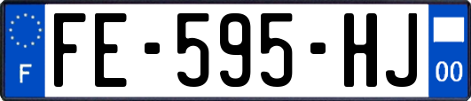 FE-595-HJ