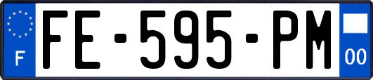 FE-595-PM