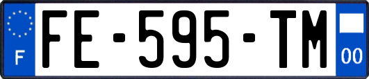 FE-595-TM