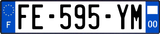 FE-595-YM