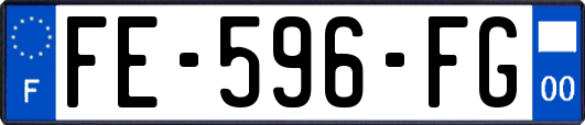 FE-596-FG