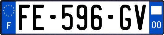 FE-596-GV