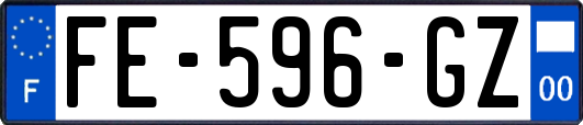 FE-596-GZ