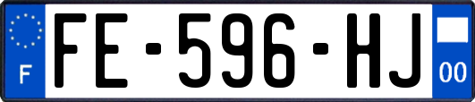 FE-596-HJ