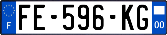 FE-596-KG