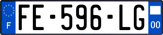 FE-596-LG