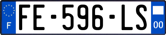 FE-596-LS