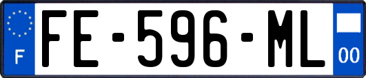 FE-596-ML