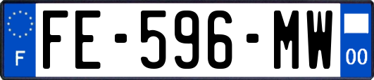 FE-596-MW