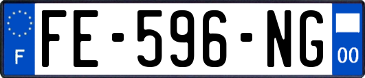 FE-596-NG
