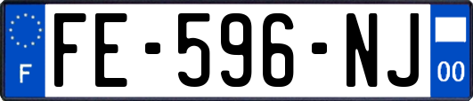 FE-596-NJ