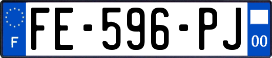 FE-596-PJ
