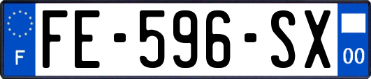 FE-596-SX