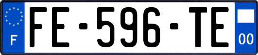 FE-596-TE
