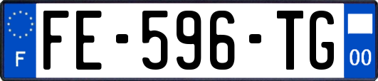 FE-596-TG