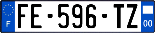FE-596-TZ