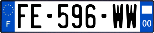 FE-596-WW