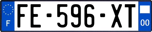 FE-596-XT