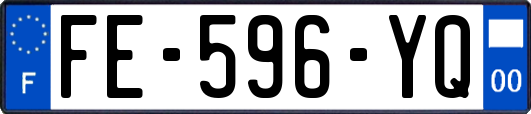 FE-596-YQ